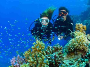 Diving-Marsa-Alam-scuba-diving-professional-PADI-Dive-Instructors-Diving-Center-Marsa-Alam-diving-price-dive-trip