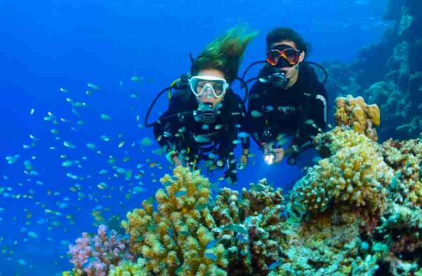 Diving-Marsa-Alam-scuba-diving-professional-PADI-Dive-Instructors-Diving-Center-Marsa-Alam-diving-price-dive-trip