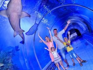 Grand-aquarium-Hurghada-grand-aquarium-ticket