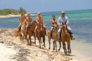Horse-riding-Hurghada-horseback-riding-in-hurghada-swim-with-horses-horseback-riding-in-hurghada