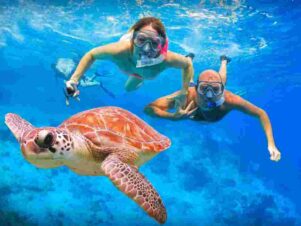 Marsa-Moubarak-Marsa-Alam-Snorkeling-Trip-Port-Ghalib-excursion-marsa-mubarak-Turtle-house-snorkeling-trip-snorkeling-dugong-marsa-mubarak