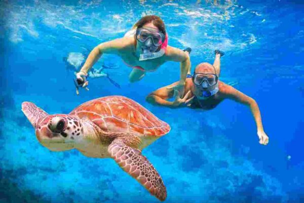 Marsa-Moubarak-Marsa-Alam-Snorkeling-Trip-Port-Ghalib-excursion-marsa-mubarak-Turtle-house-snorkeling-trip-snorkeling-dugong-marsa-mubarak