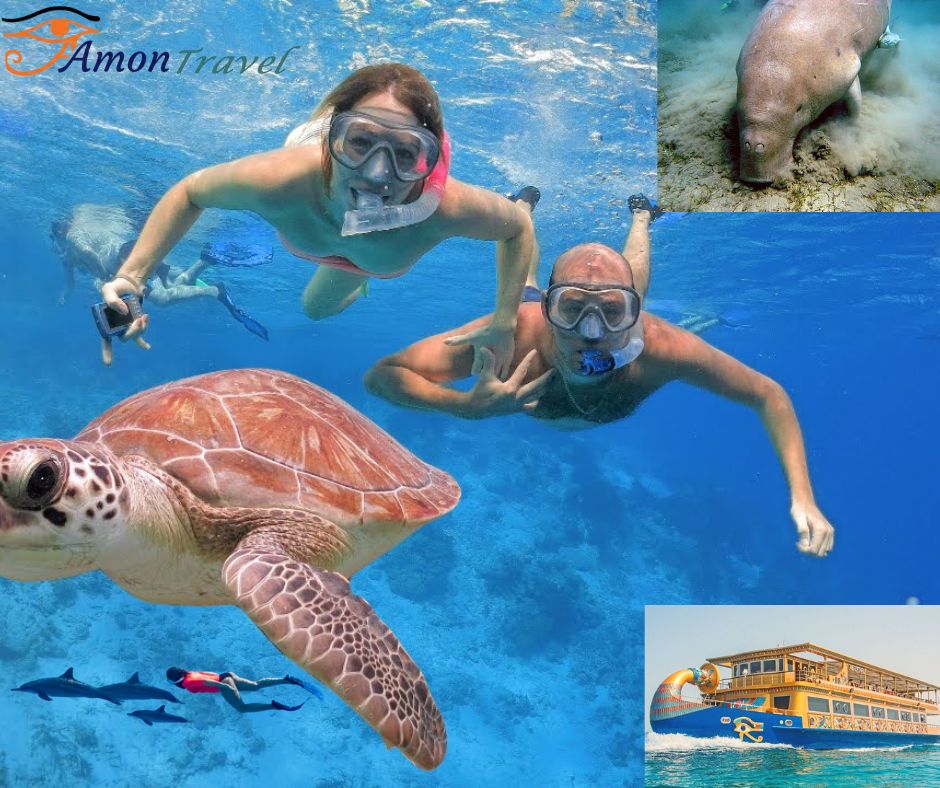 Marsa alam excursions amontravel